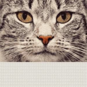 Meet your Posher, Monique